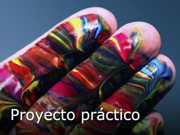 Proyecto práctico